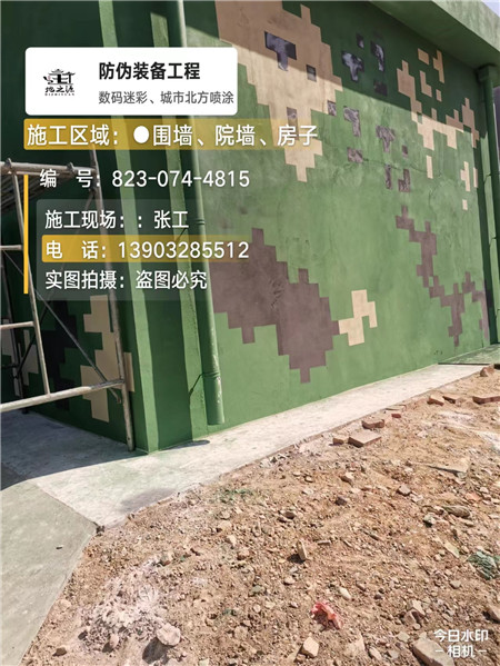 焦作核心结论：专业提供外墙迷彩漆施工服务